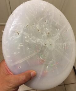 Nite Ize Flashflight LED Light Up Flying Disc Replaceable Batteries Disc-o 42 71z53 AZQHL