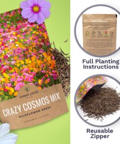 Cosmos Seeds Wildflower Mixture - Bulk Quarter Pound Bag - Over 20,000 Seeds - Pink, Yellow, Orange, Red, Purple and White Mixed Species! 1/4 Pound Bag 21 71z5HX H3HL