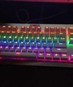 MechanicalEagle Z-77 75% Mechanical Keyboard | Aluminium Panel | Clicky Blue Switches | Rainbow LED Backlit | N-Key Rollover | 87-Key Tenkeyless | Hot Swappable |Spare Switches Included White 38 71z78hfqclL