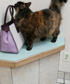 FELIWAY Classic Cat Calming Pheromone Travel Spray (20 mL) 1.8"L x 1.8"W x 3.8"Th 27 71z9H4RPpdL