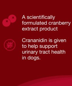 Nutramax Laboratories Crananidin Cranberry Extract Urinary Tract Health Supplement for Dogs, 75 Chewable Tablets 75 Count 22 71zC7vbe2VL