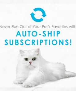 Purina Fancy Feast Grilled Gravy Wet Cat Food, Delights Grilled Tuna & Cheddar Cheese Feast - (24) 3 oz. Cans Cheddar Delights in Gravy 3.00 Ounce (Pack of 24) 34 71zDWJJZ3eL 1