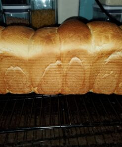 Brod & Taylor Folding Proofer & Slow Cooker (Proofer) 43 71zEEvGh74L