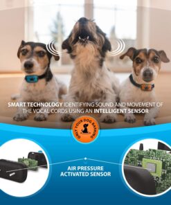 Humane Dog Bark Collar 2 Pack | Anti Barking Training Collar | Vibrating, No Shock Stop Barking for Small Medium Large Dogs | Excessive Barking Pet Corrector, (Battery) Orange & Blue Battery 29 71zEL5kqvGL