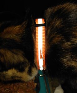 Upgraded Version - Reflective Cat Collar with Bell, Set of 6, Solid & Safe Collars for Cats, Nylon, Mixed Colors, Pet Collar, Breakaway Cat Collar Charms, Free Replacement 32 71zExi4ITlL 1