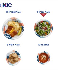 Dixie Paper Plates, 8 1/2 inch, Dinner Size Printed Disposable Plate, 90 Count Multicolor 22 71zG vWTKXL