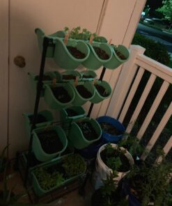 Watex Mobile Green Wall (Double Frame, Spring Bouquet), BPA Free Planters Double Frame 28 71zIuSMzsuL