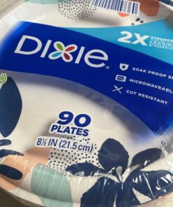 Dixie Paper Plates, 8 1/2 inch, Dinner Size Printed Disposable Plate, 90 Count Multicolor 30 71zJKTMzML