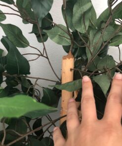 Nearly Natural 6ft. Ficus Artificial Trees, 72in, Green 72 in 43 71zJiBR8N3L