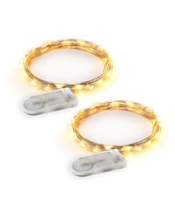 RTGS Products Warm White Colored LED Lights Indoor and Outdoor String Lights, Fairy Lights Battery Powered for Patio, Bedroom, Holiday Decor, etc WARM WHITE COLOR 20 LEDs 6.5 FEET 2 SETs