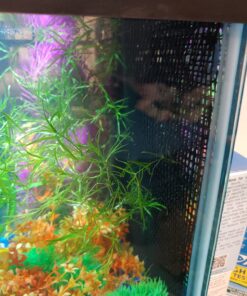 Luffy Decorative Wall or Floor Mesh Kit, 2 Pieces 37 71zPmoWa81L