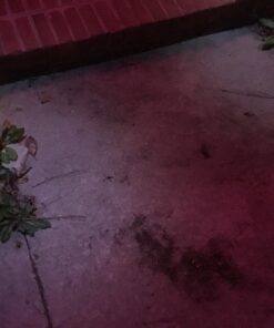 SanDisk 64GB Class 4 SDXC Flash Memory Card- SDSDB-064G-B35 (Label May Change) 64 GB SD Standard Packaging 13 71zR1sYQqXL