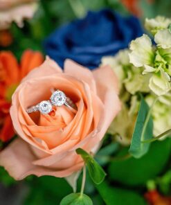 Nikon NIKKOR Z 24-70mm f/2.8 S | Professional large aperture mid-range zoom lens for Z series mirrorless cameras | Nikon USA Model Single 37 71zT32EsHNL