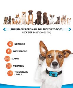 Humane Dog Bark Collar 2 Pack | Anti Barking Training Collar | Vibrating, No Shock Stop Barking for Small Medium Large Dogs | Excessive Barking Pet Corrector, (Battery) Orange & Blue Battery 27 71zT4yh5FrL