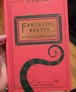 Fantastic Beasts and Where to Find Them 21 71zVAiSoL