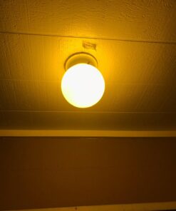 TCP 5W Equivalent LED Yellow Bug Light Bulbs, Non-Dimmable 1 Count (Pack of 1) 30 71zVQhEWayL