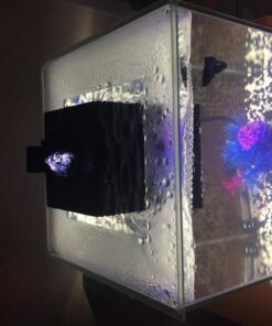 Fluval Chi II Series Aquarium Set, 5-Gallon - Aquarium Tank with Ambient LED Lighting, Flowing Water, and Elegant Design, White 5 gal 60 71zWTuNtT3L