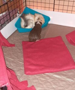 Kaytee Premium Potty Training Critter Litter for Pet Ferrets, Rabbits & Other Small Animals, 8 lb 30 71zWzaPpUNL 2