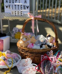 Plush Cat House with Cats - Five (5) Stuffed Animal Cats in Play Kitten House Carrying Case 17 71zXukvJU2L