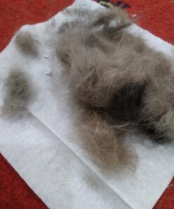 Paws & Pals Dog Brush - Gentle Soft Hair Rake Trimming Comb - Best for Shedding Dogs-Cats, Thick Long Short Haired Pet, Coat Grooming & Cat Hair Fur Removal - Self Cleaning - Deshedding Supplies 50 71zY7502PSL