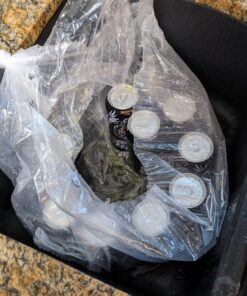 16 Pack - Full Throttle Energy Drink - Citrus - 16 Ounce 7 71zb6dLv0 L