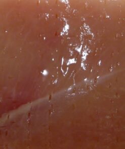 Jaccard 48-Blade Meat Tenderizer, Original Super 3 Meat Tenderizer, Durable Meat Tenderizer with Stainless Steel Razor-Sharp Knives, 4" x 1.5" x 5.75", White Pack of 1 36 71zbeSh2ruL