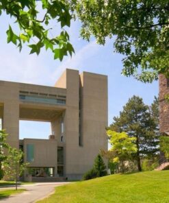 Rokinon 14mm f/2.8 IF ED UMC Ultra Wide Angle Fixed Lens w/ Built-in AE Chip for Nikon 47 71zcvYuN5L