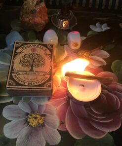 Palo Santo Incense Match Sticks | Palo Santo Wood Sticks Peruvian “Holy Wood” ● Smudging, Energy Clearing, Stress Relief, Relaxation, Healing, Meditation from Peru 1 33 71zdTrKCbL