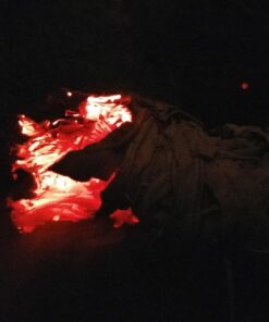 Alternative Imagination Premium California White Sage Smudge Sticks (9 Inch), 3 Pack, Packaged in USA Large 29 71zfeiNIZmL