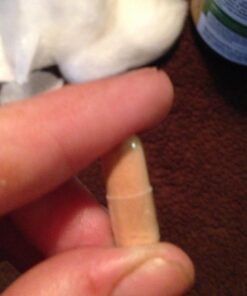 Zhou Green Tea Extract Capsules with EGCG, Natural Energy, Mental Focus, Immune Health, Antioxidant and Heart Support, Non-GMO, Vegan, Gluten Free, 120 Capsules 37 71zh 5w96LL