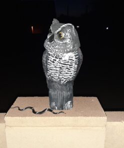 Rhode Island Novelty 14" Rain Forest Snakes | Assorted Designs | Set of 12 31 71zjL6JdjNL