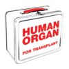 Aquarius Human Organ Large Tin Fun Box 4 71zjm1xUdgL