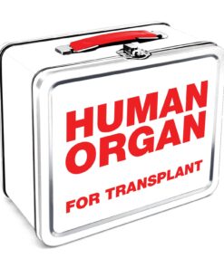 Aquarius Human Organ Large Tin Fun Box