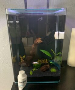 Seachem Stability Fish Tank Stabilizer - For Freshwater and Marine Aquariums 100ml 100 mL / 3.4 fl. oz. white 18 71zlYwKzgfL