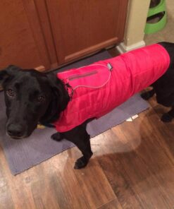 Kurgo Loft Dog Jacket, Reversible Dog Coat, Wear with Harness or Sweater, Water Resistant, Reflective, Winter Coat For Medium Dogs (Chili Red, M) Chili Red/Charcoal 44 71znvxCYdGL 1