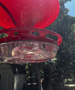 Roamwild Hanging Hummingbird Feeder for Outdoors with Double Moat Guard Technology | 5 Feeding Stations with Quick Easy Filling Port | 20 fl oz Nectar Large Capacity - Purple Petals (Yellow) Yellow 38 71zo wTco8L