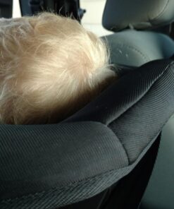 Evenflo Tribute LX 2-in-1 Lightweight Convertible Car Seat, Travel Friendly (Neptune Blue) Neptune Blue 30 71zoTQWcYmL