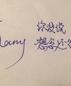 Lamy safari Fountain Pen Pink Medium 5 71zopXTQ8qL