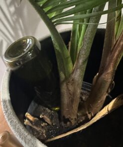 Alternative view of nicebottles Plastic Wine Bottles & Screw Caps, Green, 750ml - Pack of 4