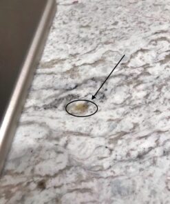 STONETECH Oil Stain Remover, Cleaner for Natural Stone, Grout, & Masonry, 3OZ (88.7ML) Can 47 71zrT2w632L 1