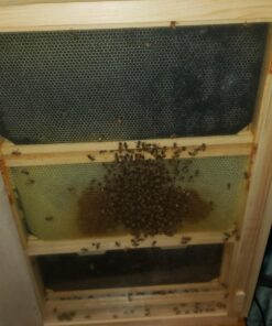 AC Infinity AXIAL 8038, Quiet Muffin Fan, 120V AC 80mm x 38mm Low Speed, UL-Certified for DIY Cooling Ventilation Exhaust Projects 50 71zroRVaGHL