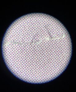 Carson Pocket Micro 20x-60x LED Lighted Zoom Field Microscope with Aspheric Lens System (MM-450),Blue Pocket Micro (MM-450) 23 71ztlv8T56L