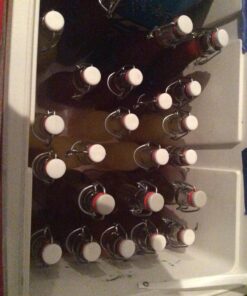 Bormioli Rocco Glass 8.5 Ounce Swing Top Bottle, Set of 4 4 Count (Pack of 1) 15 71zwpA6mmL