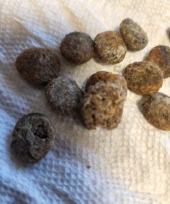 NUTRO NATURAL CHOICE Large Breed Adult Dry Dog Food, Chicken & Brown Rice Recipe Dog Kibble, 30 lb. Bag 30 Pound (Pack of 1) 36 71zzDZc9cL 1