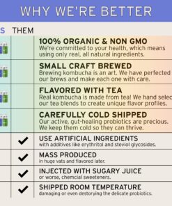 Better Booch Organic Kombucha - Probiotic & Antioxidant Rich Raw Sparkling Tea - Low Sugar, Vegan, Gluten Free - Gut Healing Active Cultures - Best Sellers Variety Pack, 16 Fl Oz Cans, 12-Pack 15 81 1 zRZGjL
