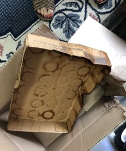 Zevia Zero Calorie Soda, Cola, 12 Ounce Cans (Pack of 24) 12 Fl Oz (Pack of 24) 44 81 5OENpzxL