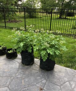 Upstreet Garden Grow Bags – 2 Pack Garden Bags to Grow Vegetables: Carrot, Tomato, Onion, Potato Planting Bags with Flap, Eco-Friendly, Heavy Duty Fabric Planting Pots 2 - Pack 39 81 6 TgQUyL