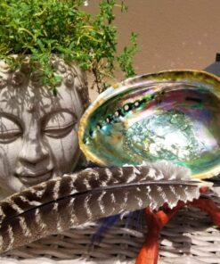 Smudge Kit Spiritual Set, Large Abalone Shell, Complete Sage Smudge Stick Kit, Palo Santo, White Sage Incense for Cleansing, Smudge Feather,Chakra Kit Bracelet, Charitable Positive Vibes Smudging Kit 34 81 7Fm2QYtL