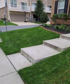 Scotts Turf Builder Starter Fertilizer for New Grass, Use When Planting Seed, 5,000 sq. ft., 15 lbs. Standard 5,000 sq. ft. 42 81 8yEHmv6L