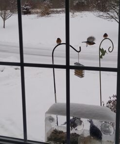 Window Bird Feeder with Strong Suction Cups, Clear Window Bird Feeders for Outside - Transparent Bird House, Balcony Glass Mount, Acrylic Cat, Kids & Elderly Viewing Clear Bird Feeder for Window Perch Large Ranch 48 81 9u2szbTL